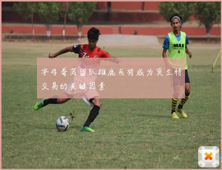 字母哥若留队雄鹿或将成为莫兰特交易的关键因素