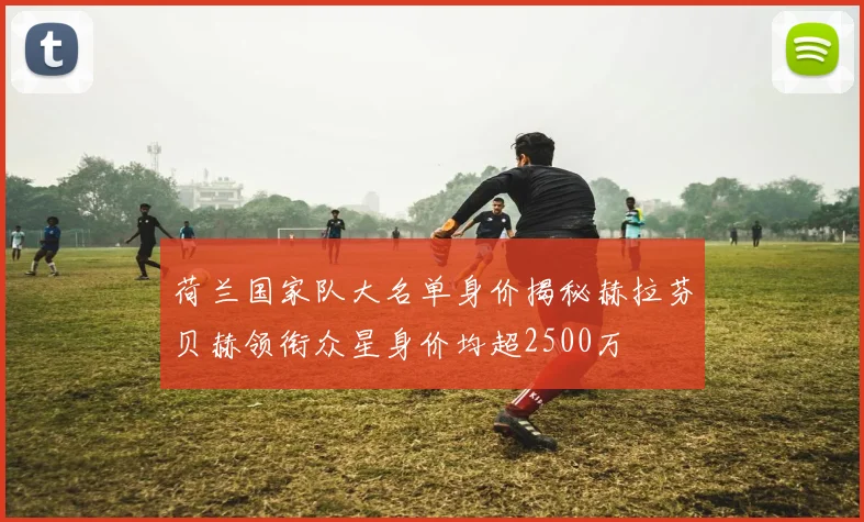 荷兰国家队大名单身价揭秘赫拉芬贝赫领衔众星身价均超2500万